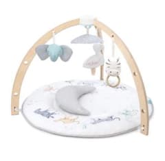 y.t 様専用aden＋anais ベビージム　アクティビティジムのサムネイル