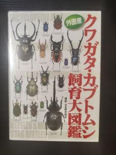 外国産クワガタ・カブトムシ飼育大図鑑 - 5