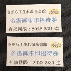 晴れ様専用　さがら子生まれ温泉会館　招待券　2枚のサムネイル