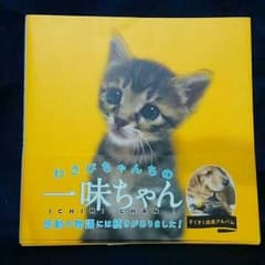 ★★わさびちゃんちの一味ちゃん☆☆のサムネイル