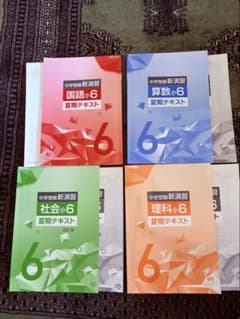 中学受験 新演習 6年生 算国理社 夏期テキスト解答解説付き - メルカリ