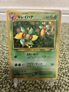 キレイハナ ☆ 拡張パック第1弾 金、銀、新世界へ… - メルカリ