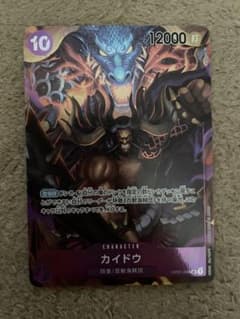 カイドウ　srパラレルのサムネイル