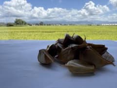 黒にんにく(福地ホワイト六辺)訳ありのサムネイル