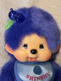 ご当地モンチッチ 信州限定 ブルーベリー モンチッチ Sサイズ18センチ