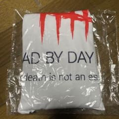爪痕Tシャツ(Sサイズ) ぎずも様専用のサムネイル