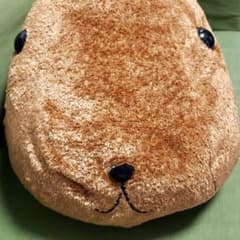 一番くじ　カピバラさん　ジャンボぬいぐるみのサムネイル