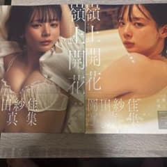 岡田紗佳写真集 嶺上開花　セットのサムネイル
