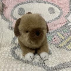 m42699623795_1.jpg?1729402731