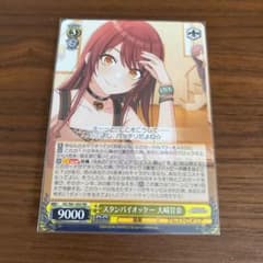 ヴァイスシュヴァルツ RRのサムネイル