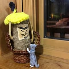 確認用☆2017.1.31☆のサムネイル