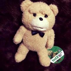 テッドぬいぐるみ！！のサムネイル