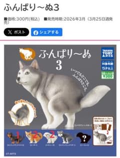 ふんばり〜ぬ3 セットのサムネイル