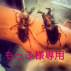 スーパーマリオブラザーズのサムネイル