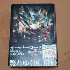 オーバーロード 14 滅国の魔女のサムネイル