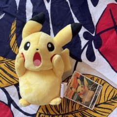 ピカチュウ ぬいぐるみ　ムンク展　①のサムネイル