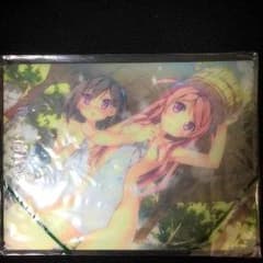 c81 コミックマーケットカタログ とらのあな特典のサムネイル