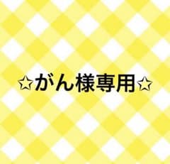 【がん様専用】2D STAR vol.7 クリアファイル付きのサムネイル