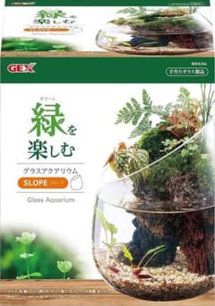 『梅太郎様』GEX グラスアクアリウム スロープ 水槽✖️2のサムネイル