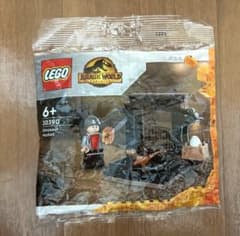 LEGO ジュラシック・ワールド 30390 Dinosaur Marketのサムネイル
