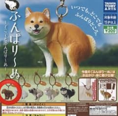 ふんばり〜ぬ ガチャ マスコットトイプードルのサムネイル