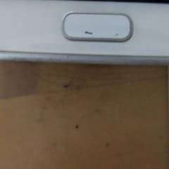 せんようのサムネイル