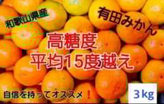 和歌山県有田産 平均糖度15度越え❗宮川早生 小玉みかん 3kg みかん