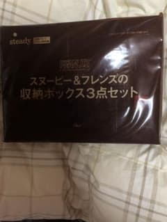 このまま送ります　ステディ　付録のサムネイル