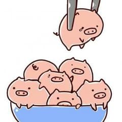 専用のサムネイル