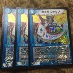 シャッフのサムネイル