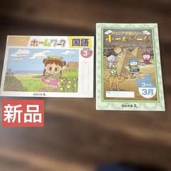 四谷大塚ジュニア予習シリーズのホームワーク 国語と算数 - メルカリ