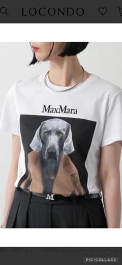 Max Mara クルーネックTシャツのサムネイル