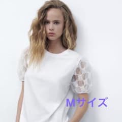 【新品】ZARA エンブロイダリー　オーガンザTシャツ　完売品　Mのサムネイル
