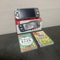 Nintendo Switch Lite 本体 グレー ソフト2本付 - メルカリ