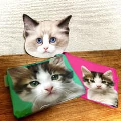 猫・3点セットのサムネイル