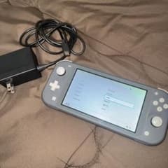 ○*ン様 Nintendo Switch Lite 本体 グレー 充電器付きのサムネイル