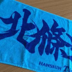 阪神タイガース　北條史也のサムネイル