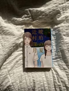 琥珀の夏 辻村深月のサムネイル