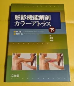 【使用感少】触診機能解剖 カラーアトラス 下のサムネイル