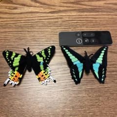 ちょうちょ　キーホルダー　カマキリ先生　アゲハチョウのサムネイル