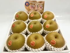 【鳥取県産】新甘泉　９玉セットのサムネイル