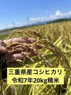 令和7年産　三重県産コシヒカリ　精米白米20kgのサムネイル