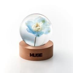 JIMIN】 MUSE PAPER WEIGHT 新品 - メルカリ