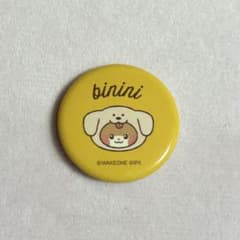 ZB1 제베완 zeroni 제로니 캔 배지 비니니 binini 특전