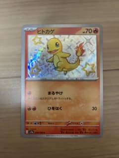 色違い ヒトカゲのサムネイル