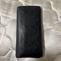 ハル専用のサムネイル