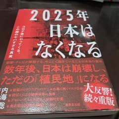 2025年日本はなくなる 内海桂子のサムネイル