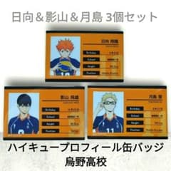 ハイキュープロフィール缶バッジ 烏野高校 日向＆影山＆月島 3個セット