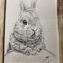 ウサギのペン画 (額縁なし)のサムネイル