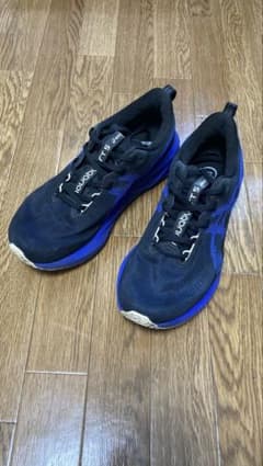 【美品】アシックス ノヴァブラスト5 29.0cm 走行50Kmのサムネイル